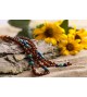 Amber teething necklace - Gemstone - baroque beads